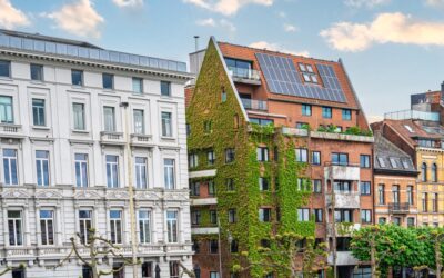 Souris dans l&rsquo;appartement : pourquoi boucher les trous ne suffit pas