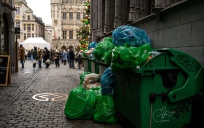 Cafard germanique ou cafard oriental : comment les distinguer (et pourquoi ça change tout)