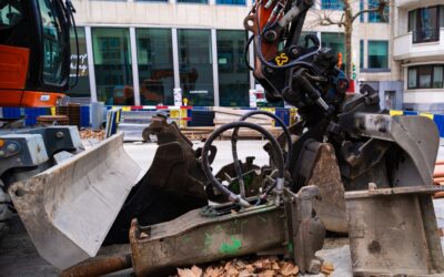 Rats à Bruxelles : pourquoi les chantiers en font ressurgir autant