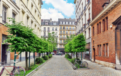 Dératisation à Bruxelles : combien ça coûte vraiment (et ce qui fait varier le prix)