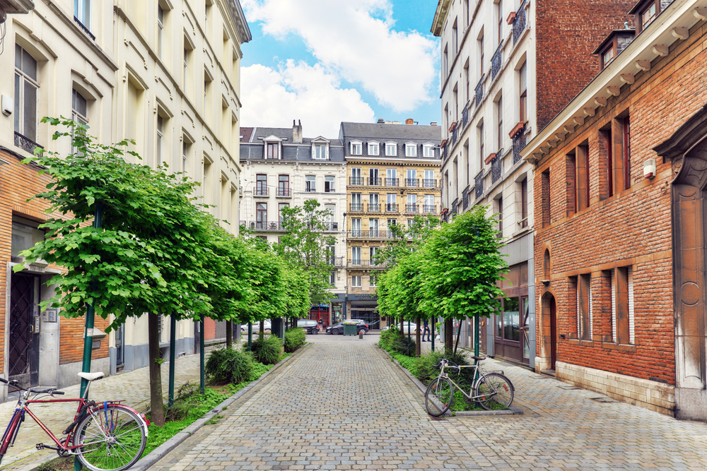 Dératisation à Bruxelles : combien ça coûte vraiment (et ce qui fait varier le prix)