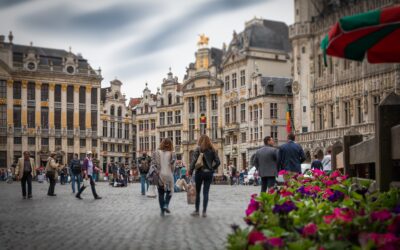 Souris en hiver à Bruxelles : pourquoi octobre et novembre sont les mois critiques
